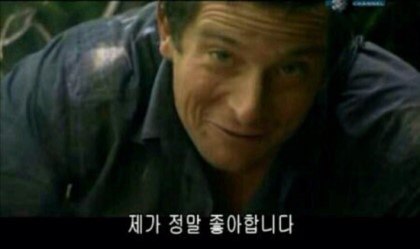 그릭요것 이미지