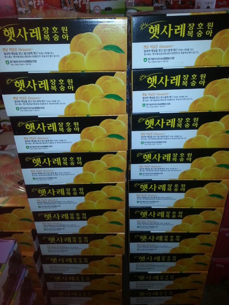 유림청과 이미지