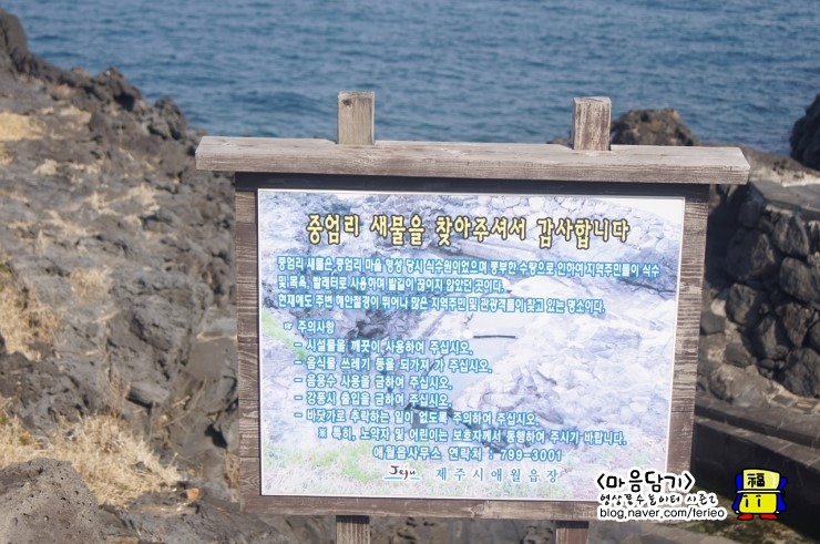 대섭동산 이미지