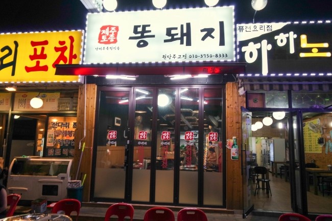 제주토종똥돼지 이미지
