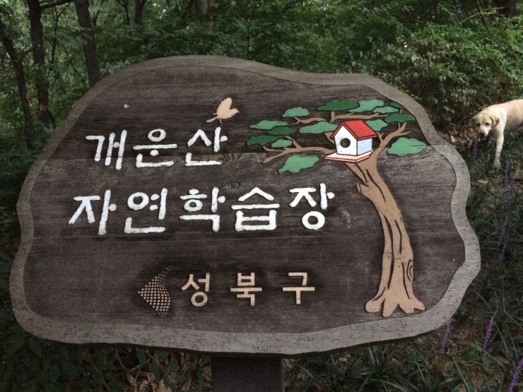 개운산 자연학습장 이미지