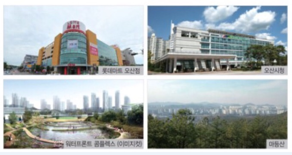 서프라이즈시티 이미지