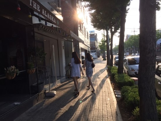 도로마망 이미지