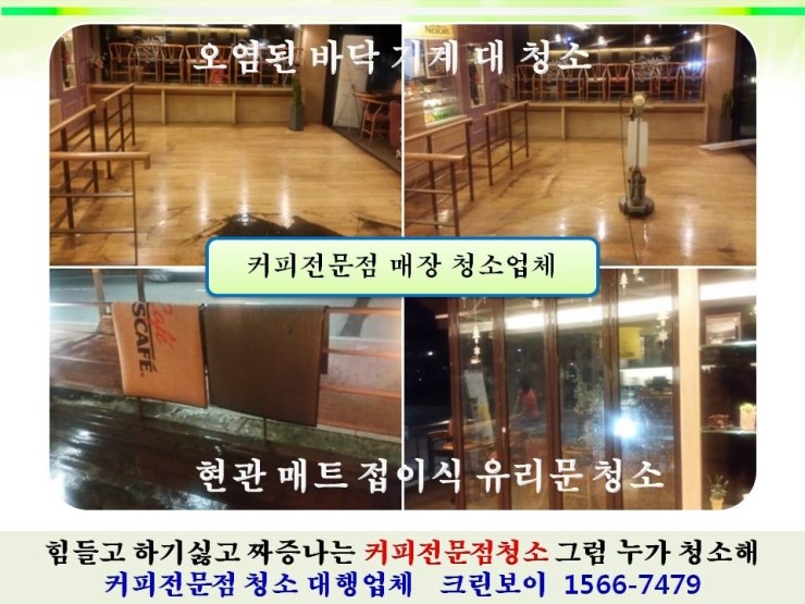 청소쟁이 이미지