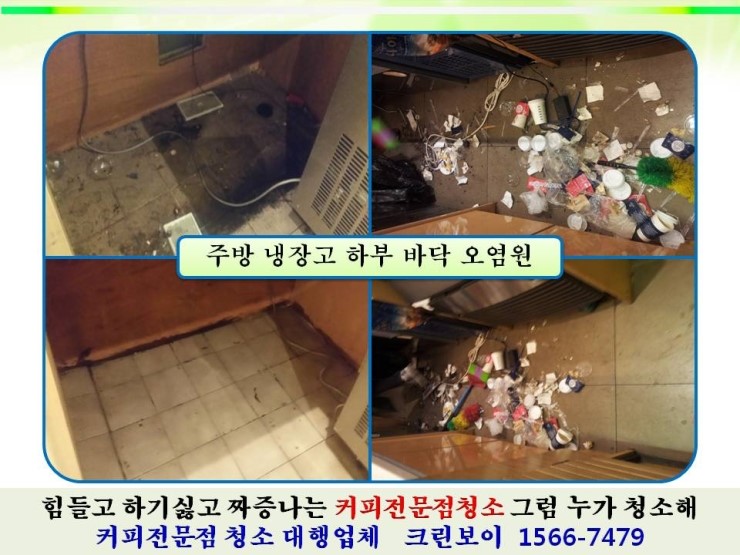 청소쟁이 이미지