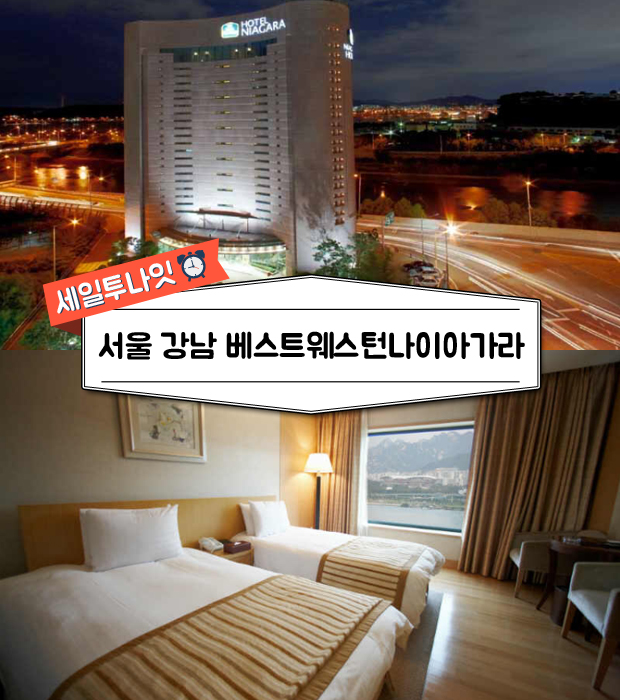 홍대게스트하우스 이미지