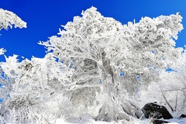 목동탑학원 이미지