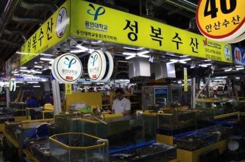 메인수산 이미지