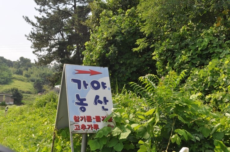 가야농산 이미지