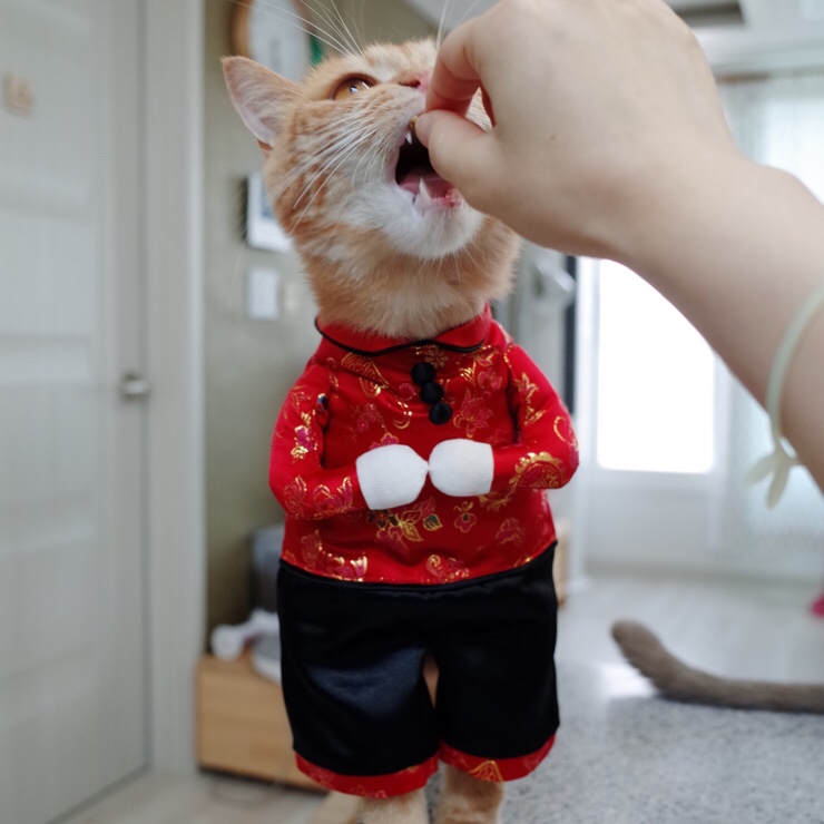 왕서방 이미지