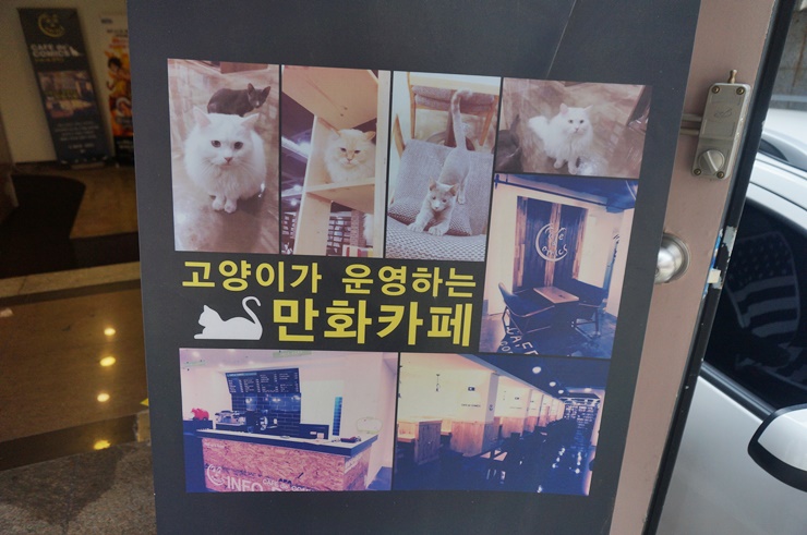 만화까페빈둥 이미지