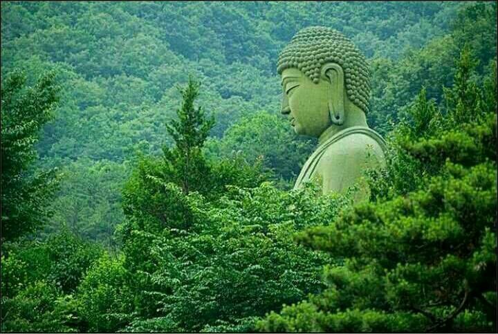 석서농원 이미지
