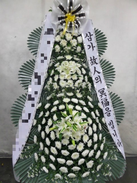야탑동 351 (분당차병원) 이미지