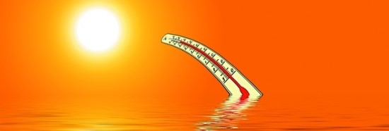 코넬비뇨기과의원 이미지