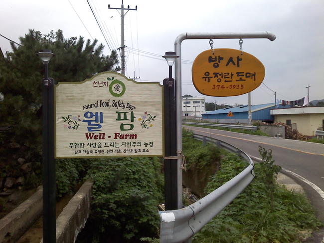웰팜 이미지