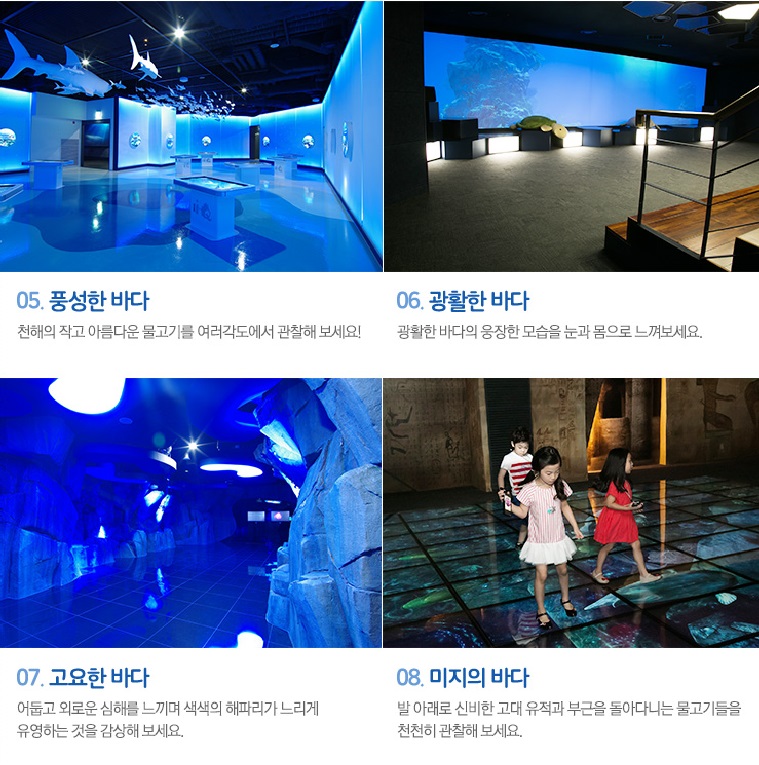 아리움 이미지