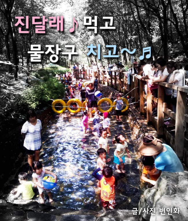 진달래먹고물장구치고 이미지