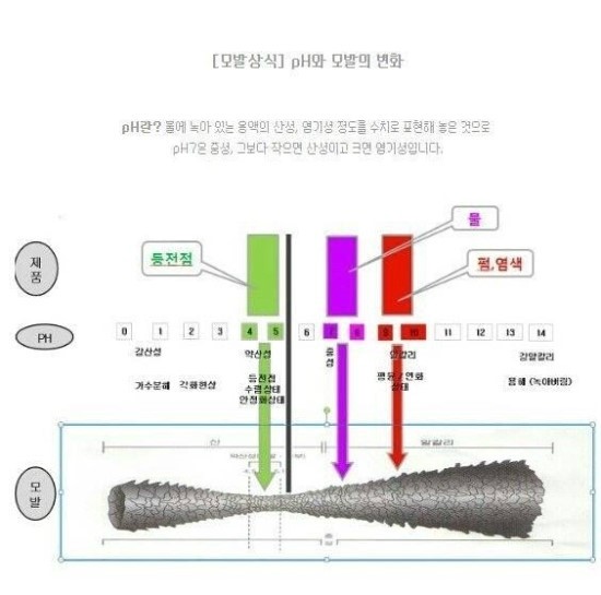엣지헤어 이미지
