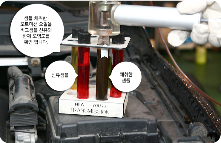 오토카프라자 이미지