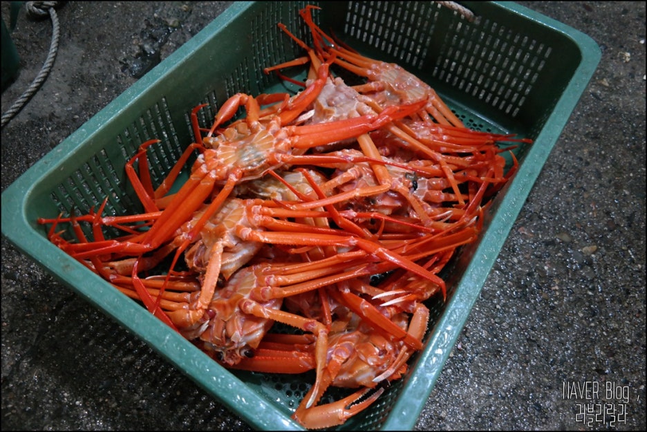 영남초장집 이미지