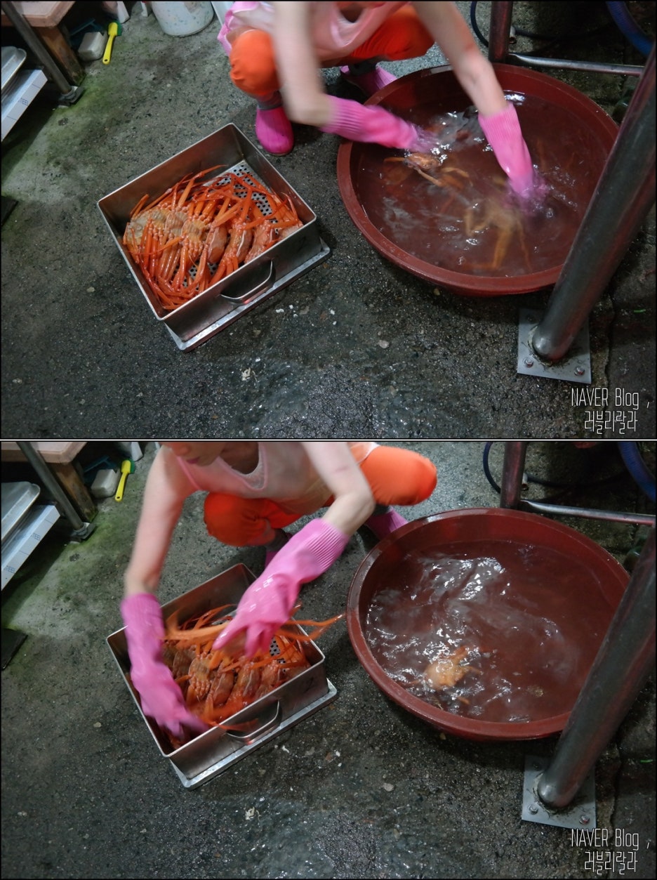 영남초장집 이미지