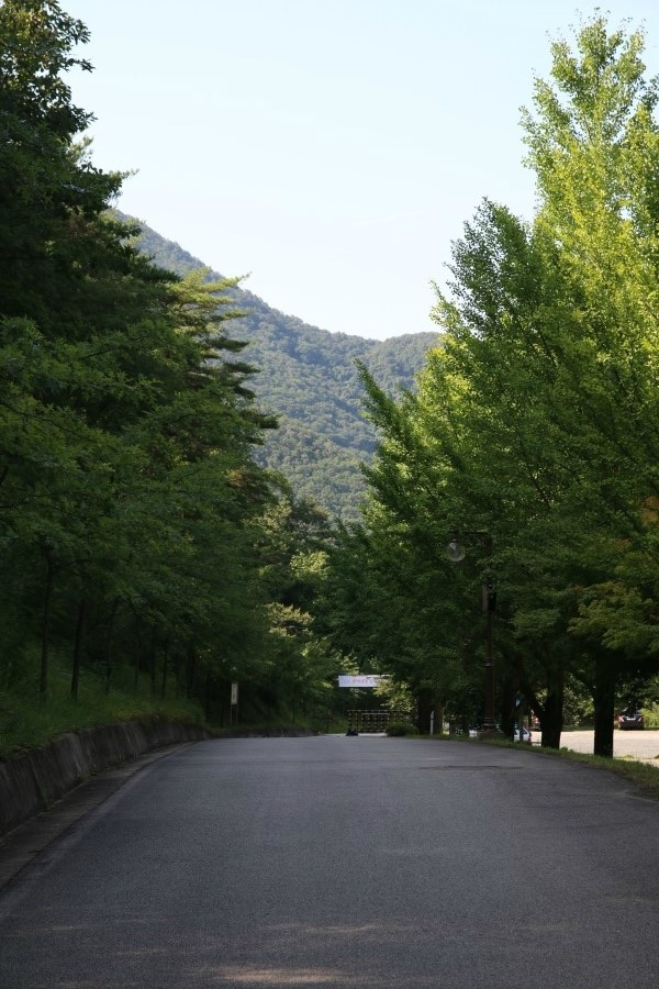 계명산자연휴양림 야영장 이미지