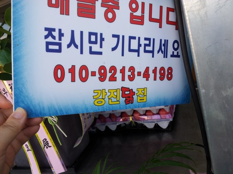 강진 닭집 이미지