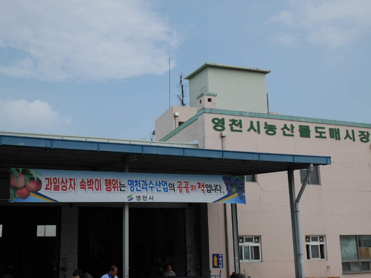 오빠청과 이미지
