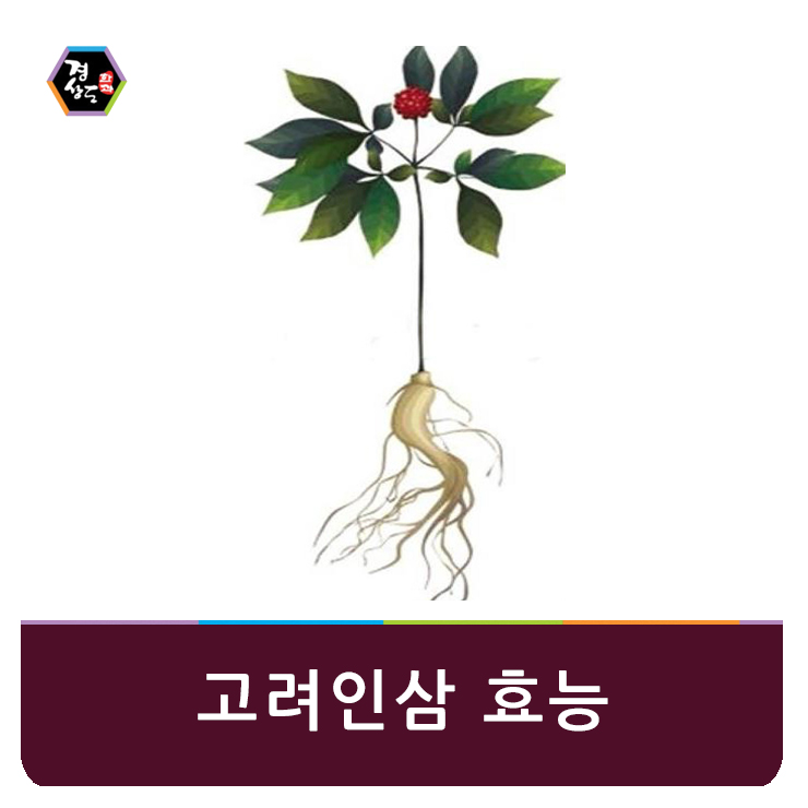 경상도한과,경상도강정 이미지