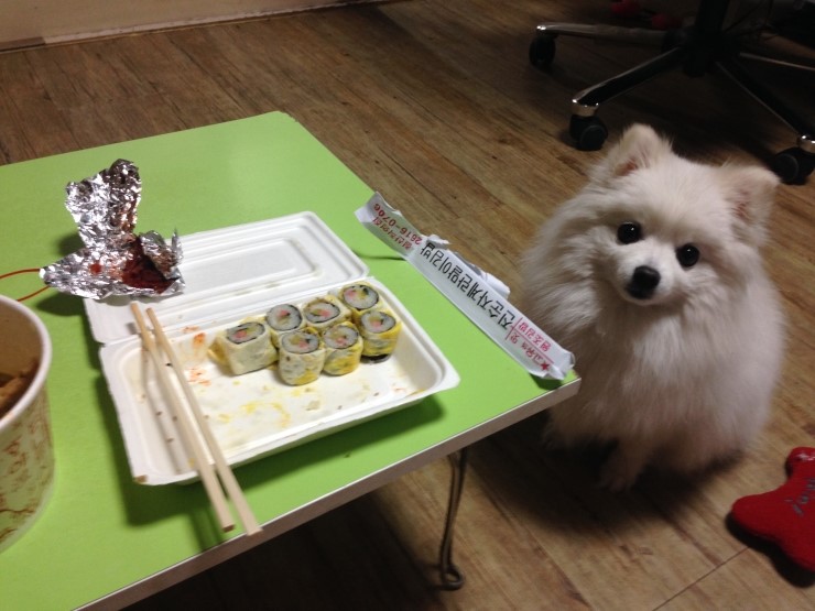 진순자계란말이 이미지