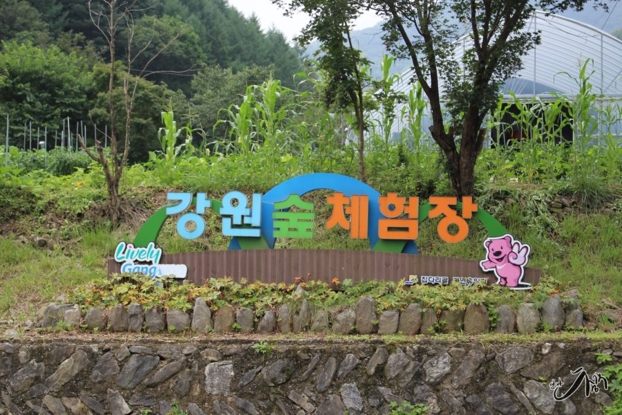 솔잎체험장 이미지