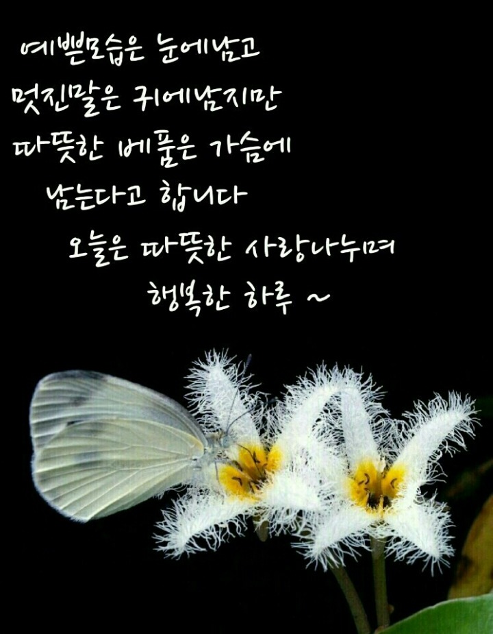 범서중학교 이미지