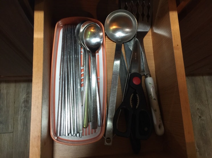 세쌍둥이네풀꽃세상 이미지