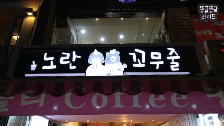 노란꼬무줄 이미지