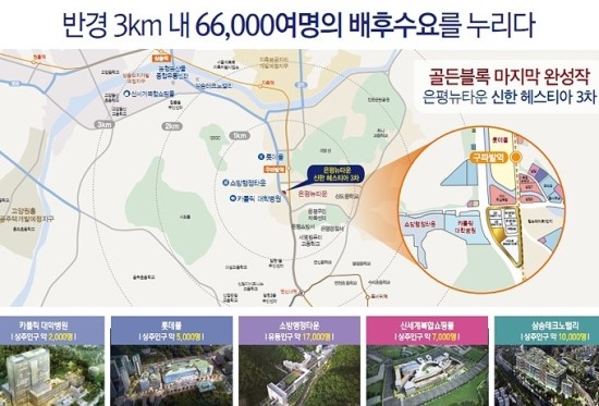 헤스티아벨리 이미지