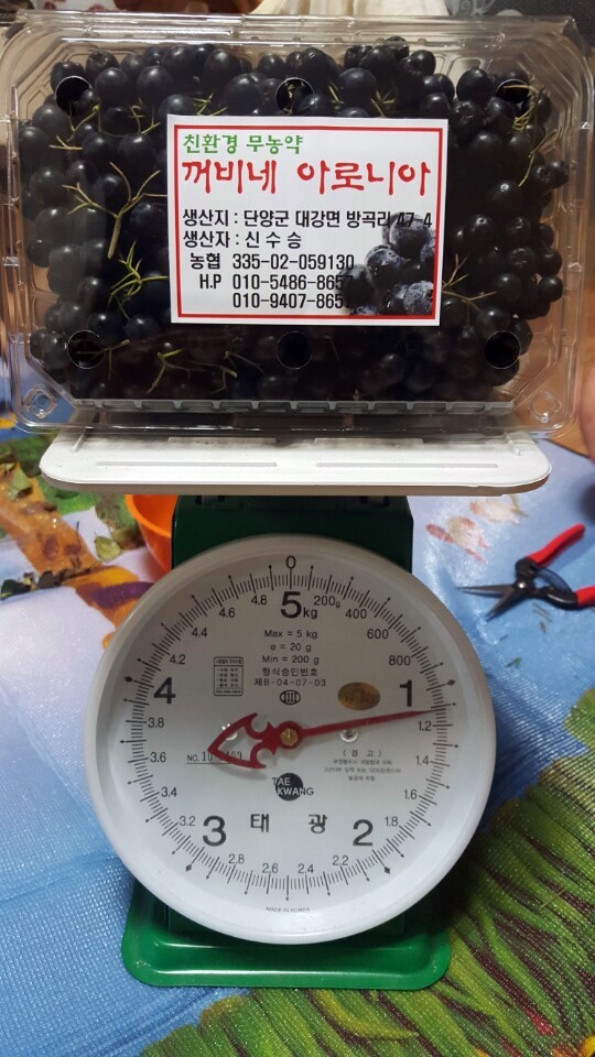 꺼비네 이미지