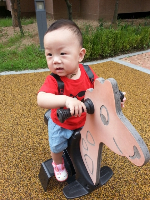 꼬마곰놀이터 이미지