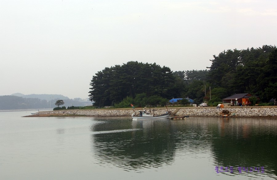 포구어가 이미지
