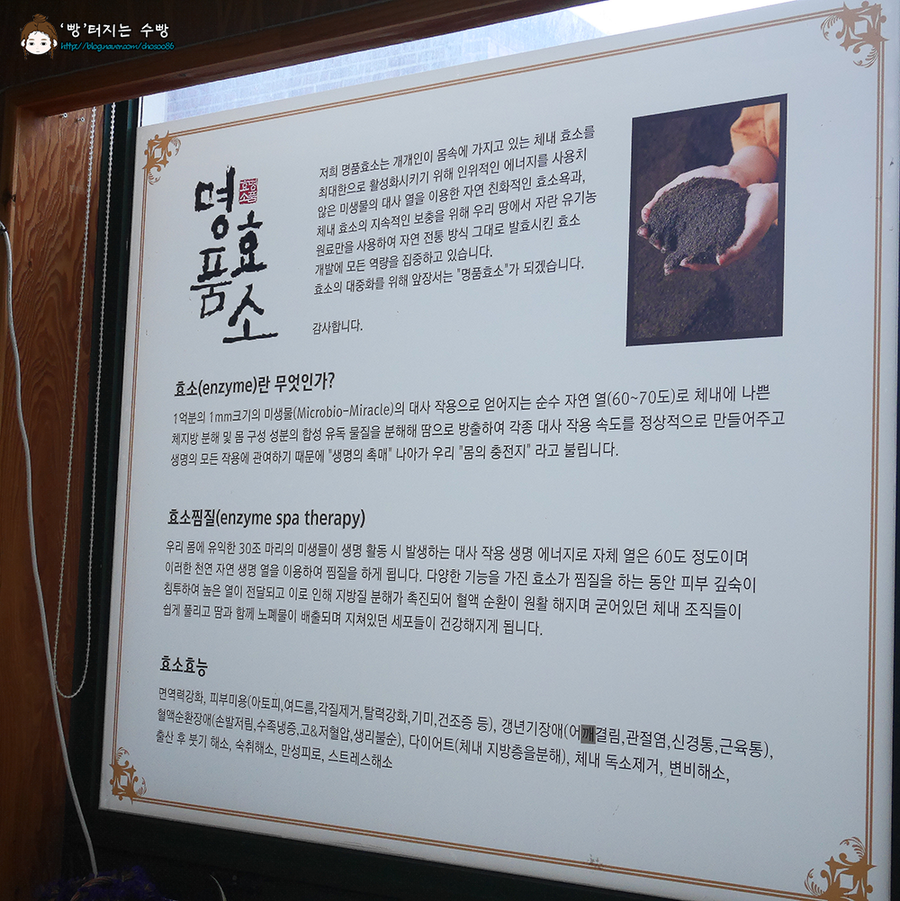 효소체형관리 이미지