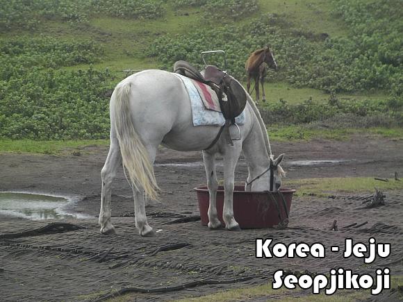 바이크하우스 이미지