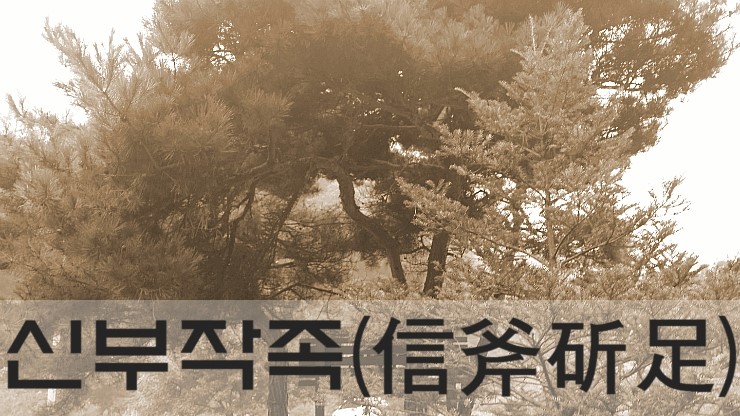 부배신발 이미지