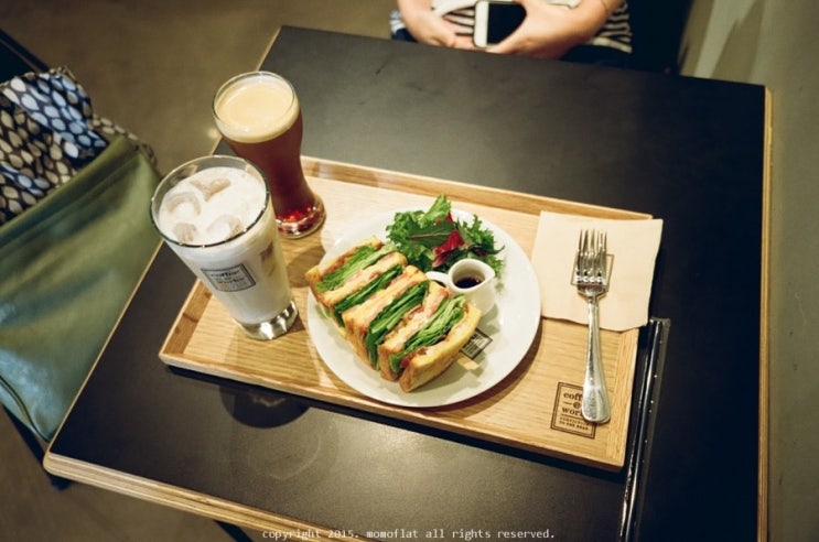TC망고 이미지