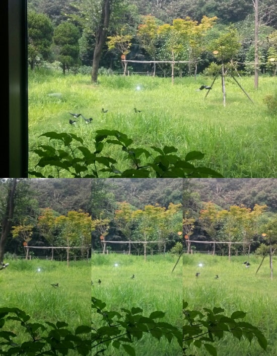 엠보보 이미지
