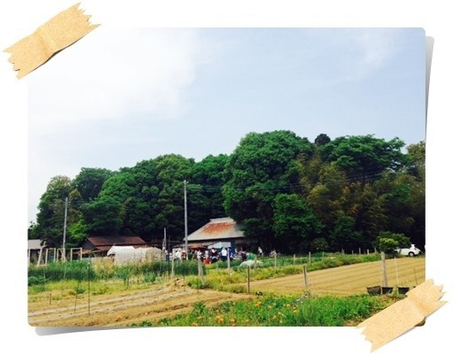 카페세라 이미지