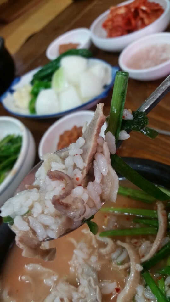 밀양돼지국밥 이미지