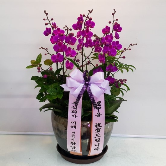 진양건재 이미지