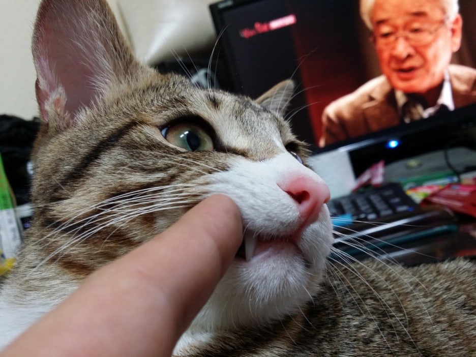 구로경찰서 이미지