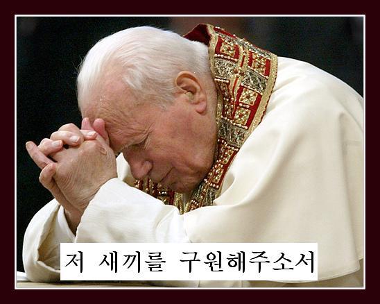 화(火)짬뽕 이미지