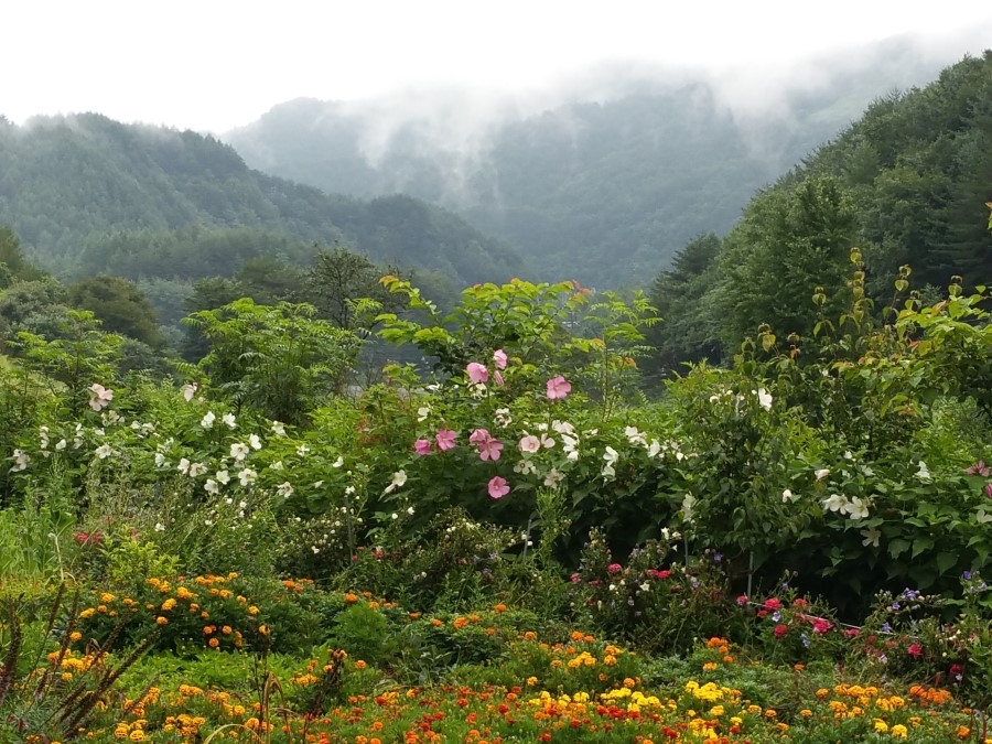 행복한농산물 이미지