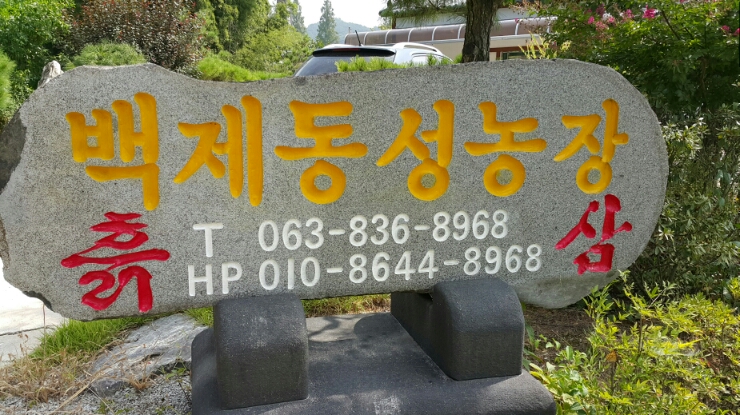 백제컨설팅 이미지